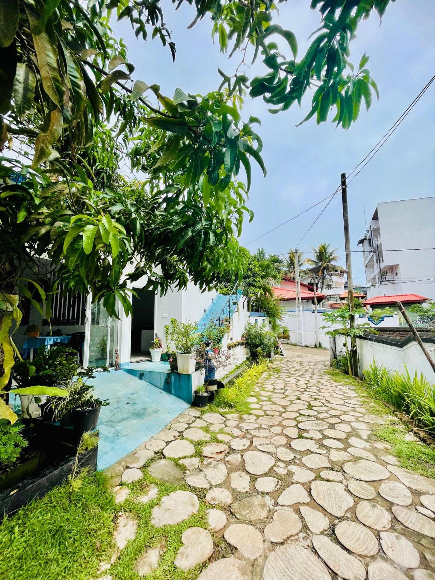 Bed and Breakfast Moon Light Guest Mirissa Exterior foto